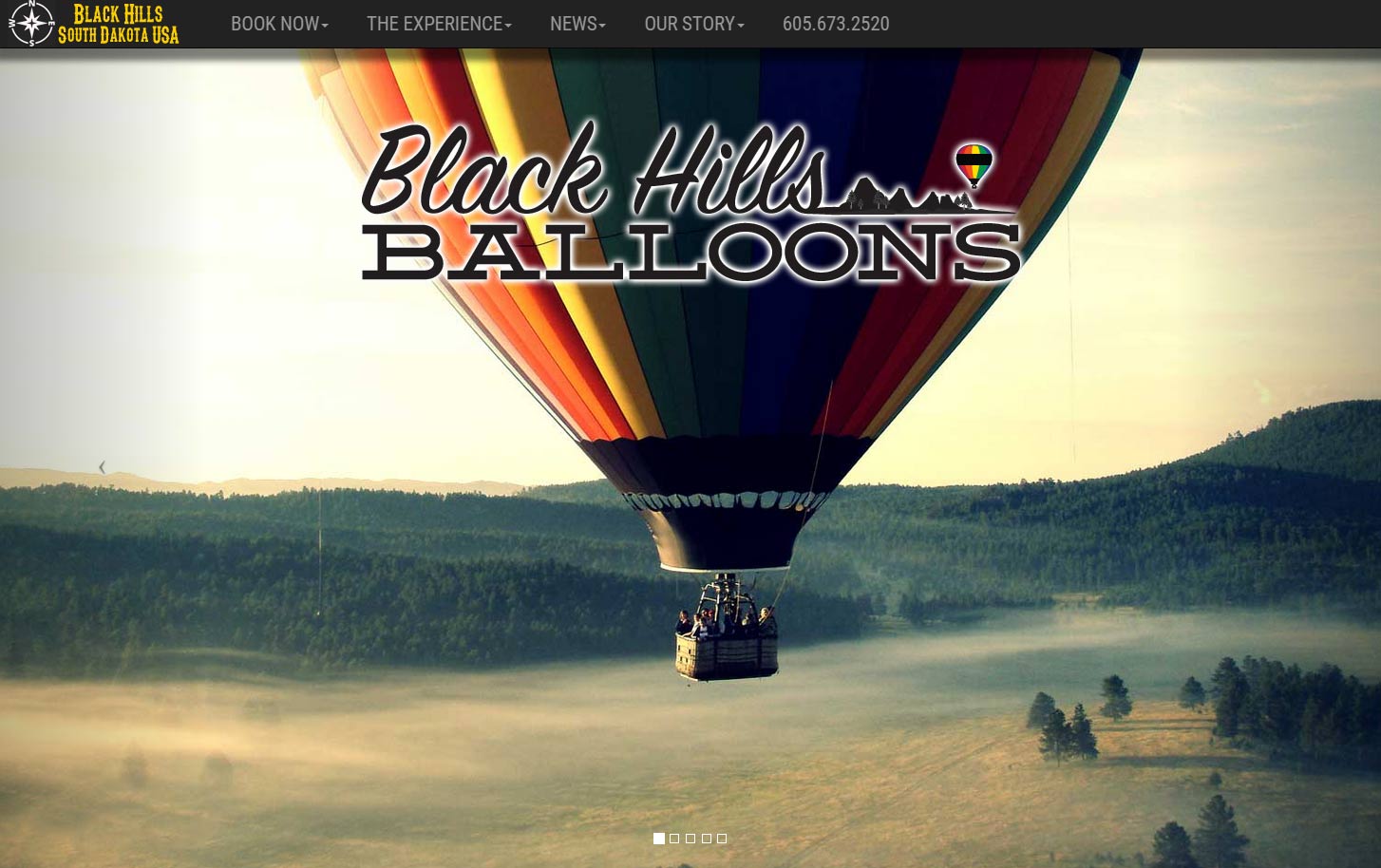 graphical interface, Laptop Repair Orlando, custom reservation system, booking, hot air balloon rides, web development